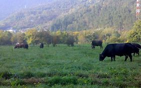 Agriturismo BioBiò